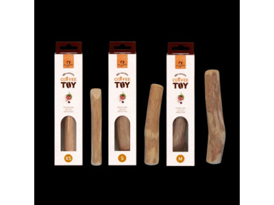 (헬로도기) 커피토이 M