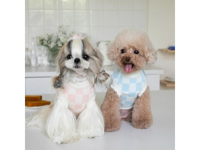 체스 니트 (XS-3XL)